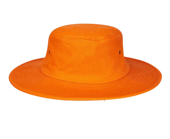 sports hats
